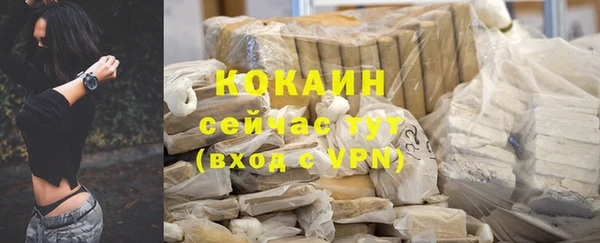 spice Каменногорск