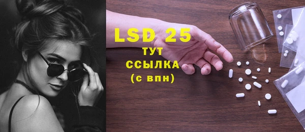 хмурый Каменка