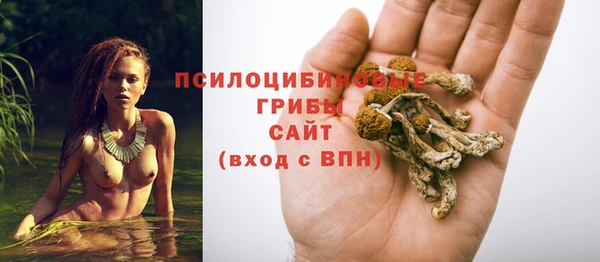 хмурый Каменка