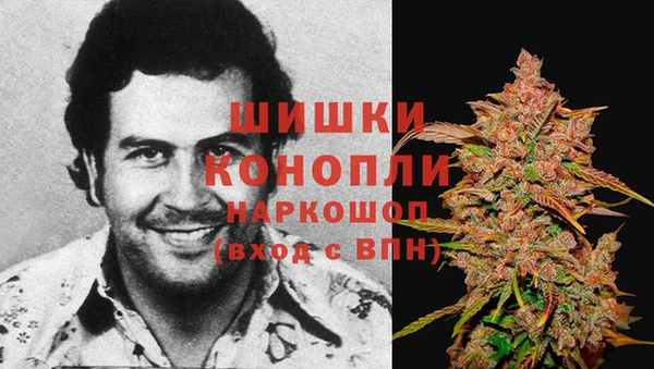 spice Каменногорск