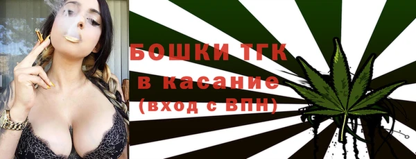 индика Касимов