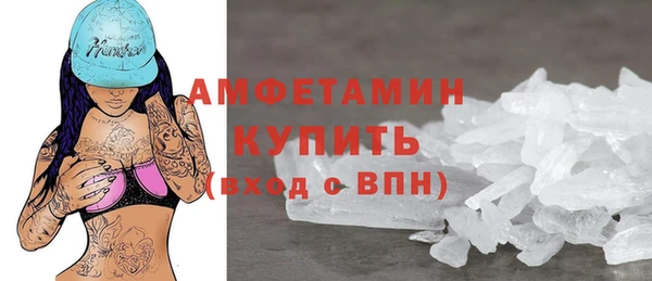 индика Касимов