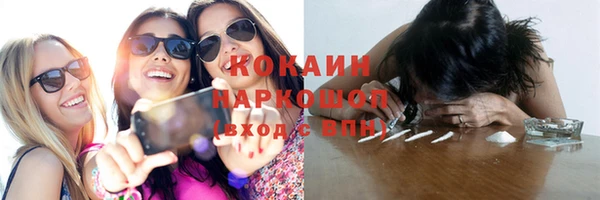 индика Касимов