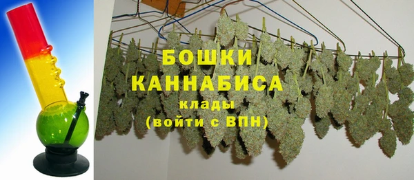хмурый Каменка