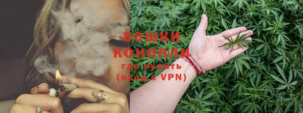 хмурый Каменка