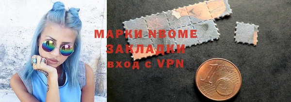 хмурый Каменка
