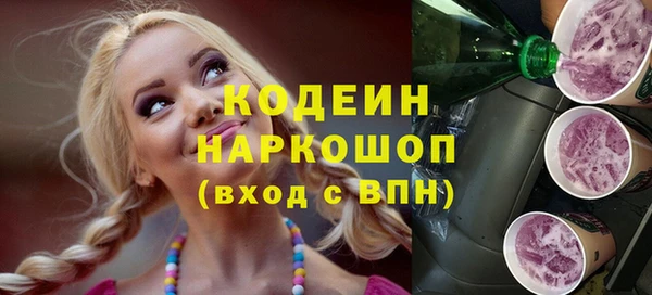 хмурый Каменка