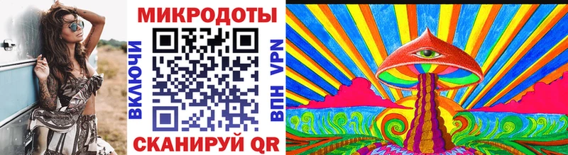Купить закладки  Новокубанск  Галлюциногенные грибы Psilocybine cubensis 