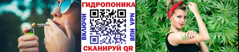 Купить  Новокубанск  Бошки марихуана ГИДРОПОН 